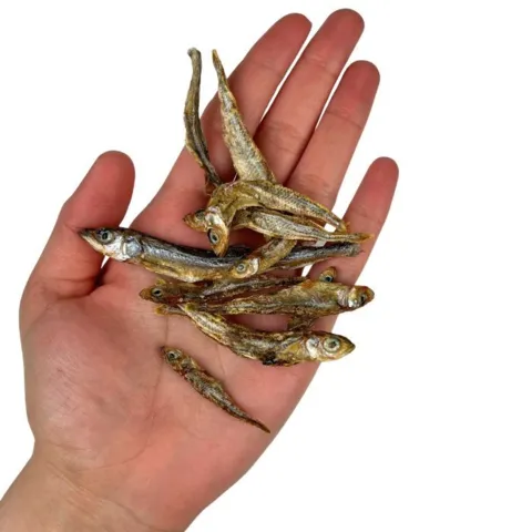 Tørrede småfisk hundesnack fra Ozami vist i hånd
