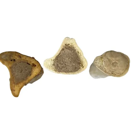 Faunakram Filled Bones 3-pack