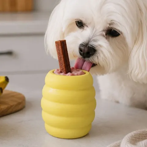 med en Ollipet Honey Lick Pot kan du lave en is til din hund