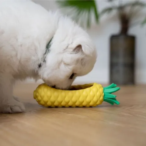 God måde at lave slowfeed