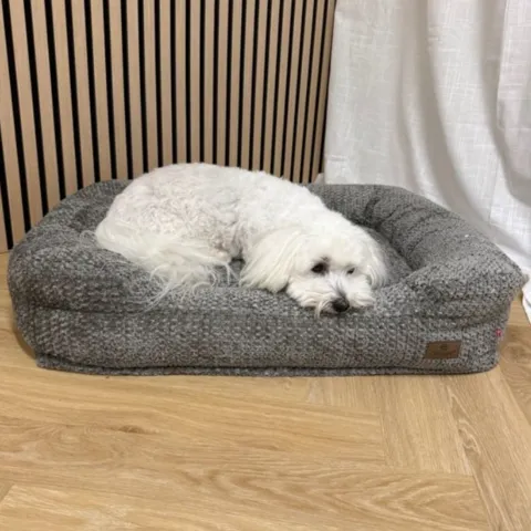 Ollipet Skagen memoryskum hundekurv