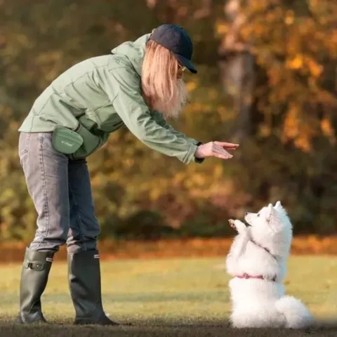 Praktisk godbidstaske til hundetræning og gåture med nem adgang til hundegodbidder