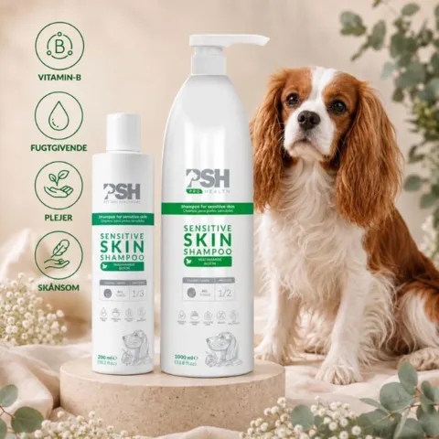 PSH Sensitive Skin shampoo med B-vitamin og biotin, der fugter og plejer skånsomt – vist med en Cavalier King Charles Spaniel.