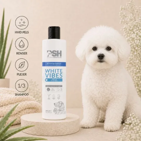 PSH White Vibes shampoo, der renser og plejer hvid pels – vist sammen med en hvid bichon frisé