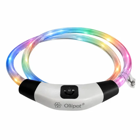 Ollipet LED NeonRing | Sikkerhedshalsbånd OneSize
