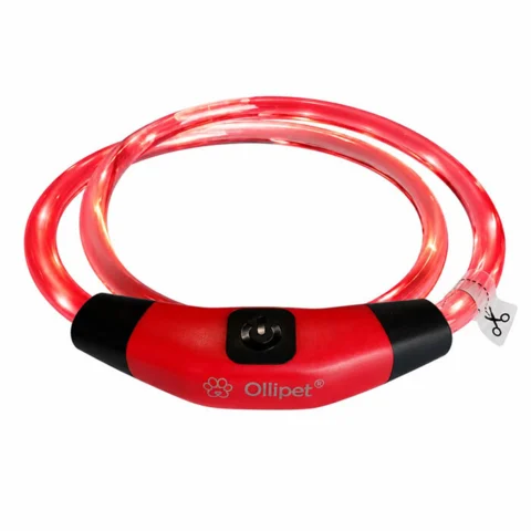 Ollipet LED NeonRing | Sikkerhedshalsbånd OneSize