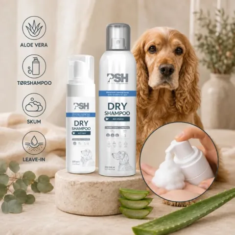 PSH Dry Shampoo tørshampoo med aloe vera som plejende leave-in skum til hundens pels – vist med en cocker spaniel