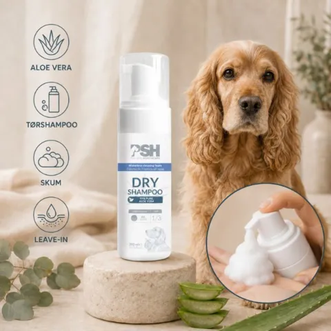 PSH Dry Shampoo tørshampoo med aloe vera som plejende leave-in skum til hundens pels – vist med en cocker spaniel
