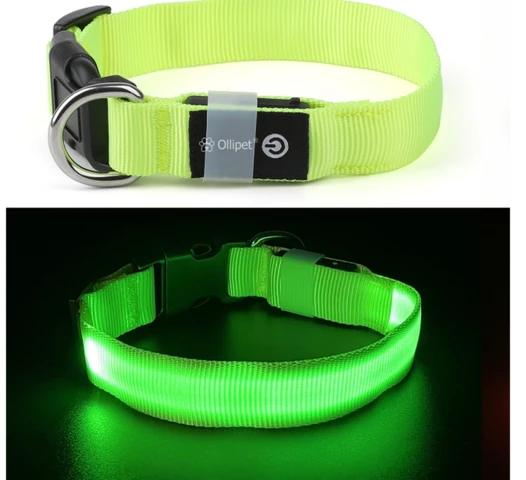 Ollipet LED NeonStyle | Sikkerhedshalsbånd