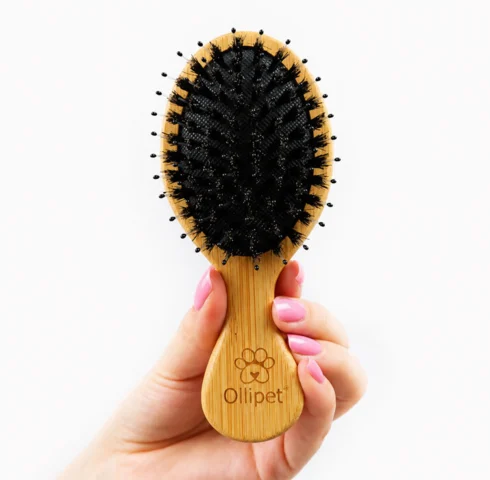 Ollipet Natural Mini Bambusbørste | Mix Brush