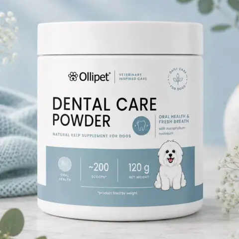Ollipet Dental Care Powder