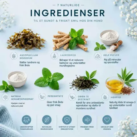 Ollipet Dental Care Powder | Ingredienser