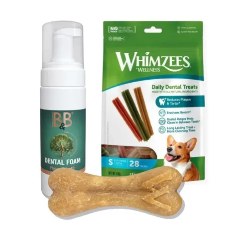 WHIMZEES & B&B Tandplejepakke til hund med Ricebone, Stix og Plaque Patrol Dental Foam