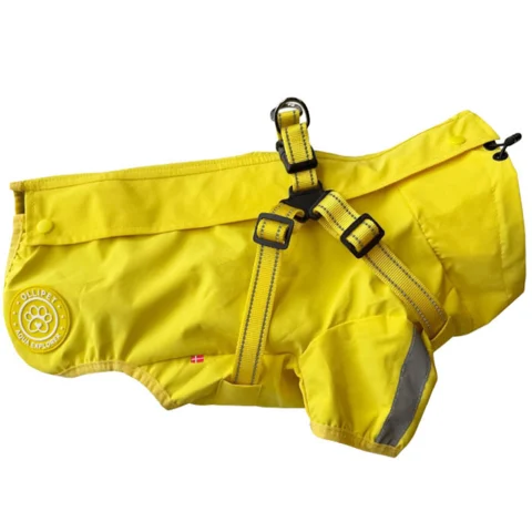 Ollipet For Wagging Tails | Aqua Explorer Regnjakke med sele