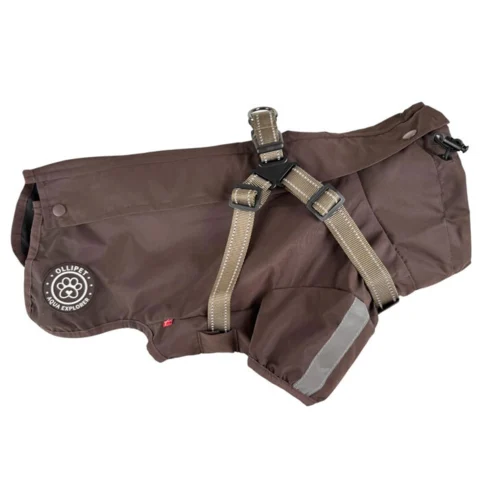 Ollipet For Wagging Tails | Aqua Explorer Regnjakke med sele