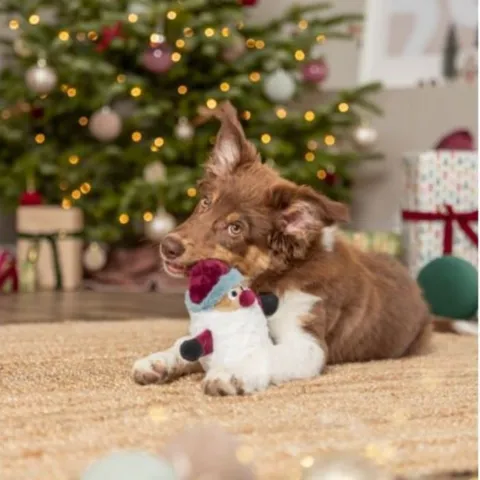 Trixie Xmas Hundelegetøj i Plys Julemand med lyd