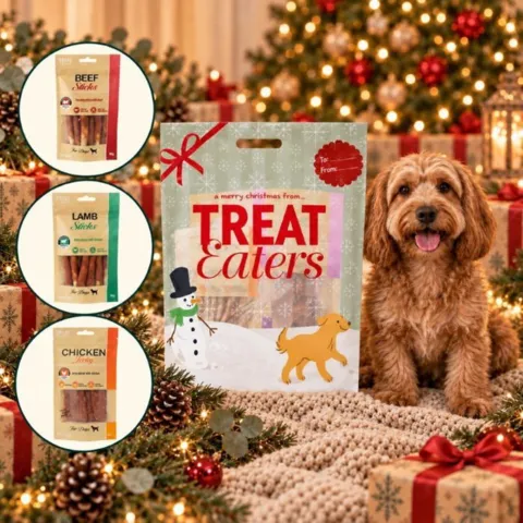 Treateaters Julegavepose til Hund med Beef Sticks, Lamb Sticks og Chicken Dental Chew – en lækker julegave til familiens firbenede ven.