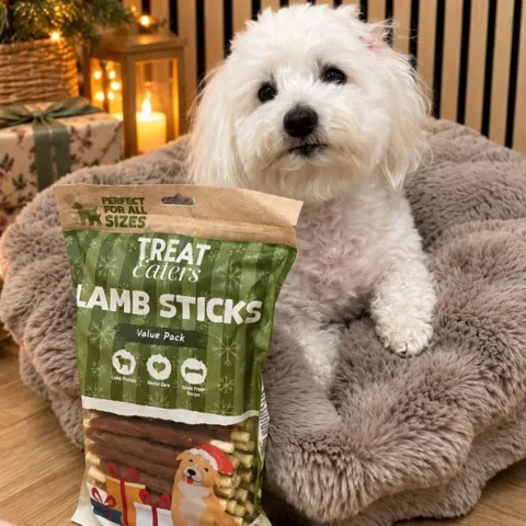 Sally med julesticks