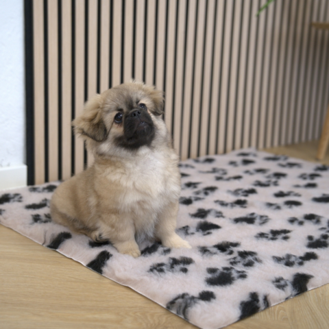 Hundehvalp på Nordic Paws Vetbed Poter i beige til hunde og katte