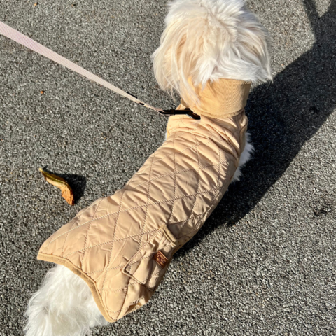 Hundejakke med elastisk bryststykke for optimal pasform