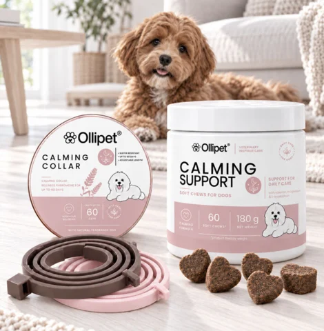 Pakketilbud | Ollipet Calming Collar and Support