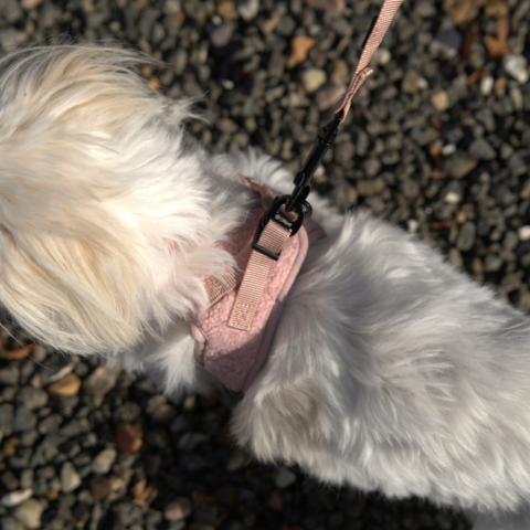 Ollipet Teddy Step-in hundesele
