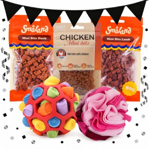 Black November pakketilbud med HoliMoli, pink Flower snusebold og tre poser Mini Bits med kylling, lam og and. Til sjov snuseleg og lækre belønninger