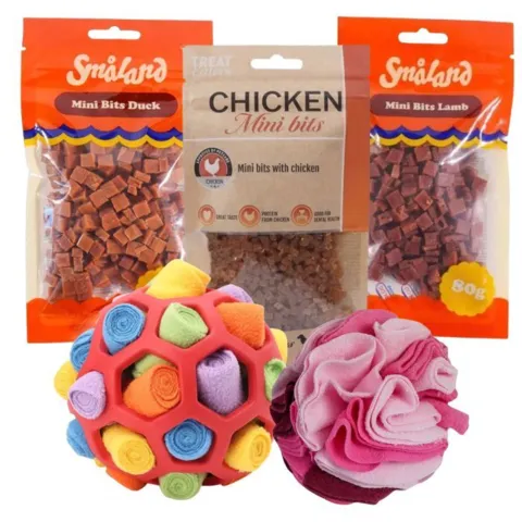Forkæl din hund med dobbelt snuseglæde! Ollipet HoliMoli og pink Flower snusebold samt Mini Bits med kylling, lam og and giver sjove søgeopgaver og lækre belønninger