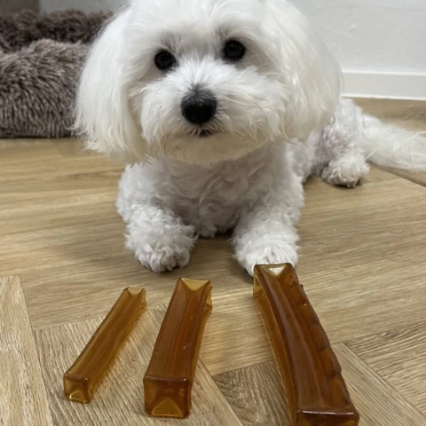 Sally med Collagen Bone Original i alle tre størrelser