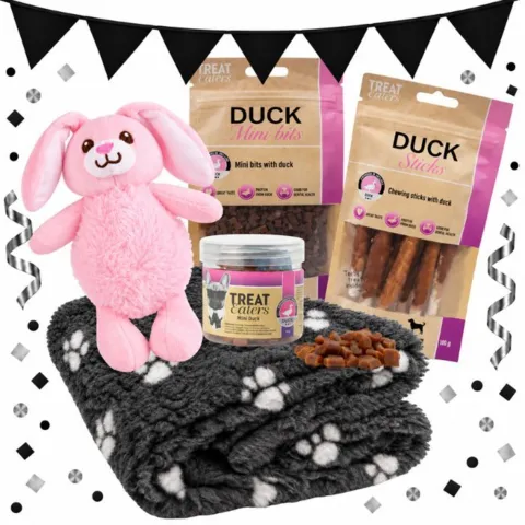 Forkæl din hund med blød luksushygge, en sød kaninbamse og lækre Treateaters-snacks. En indbydende pakke til leg, tyggeglæde og afslapning.