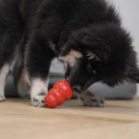 Kong Original i Rød