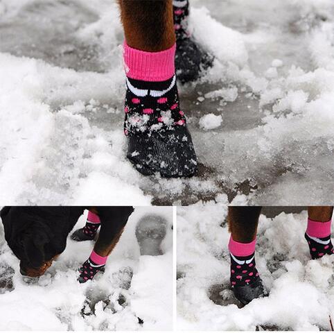 Vandtætte Hundestrømper/støvler | perfekt i snevejr!