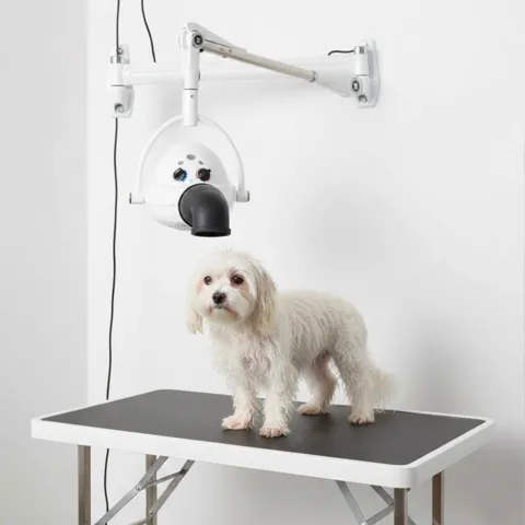 Perfekt til at tørre hunden efter bad