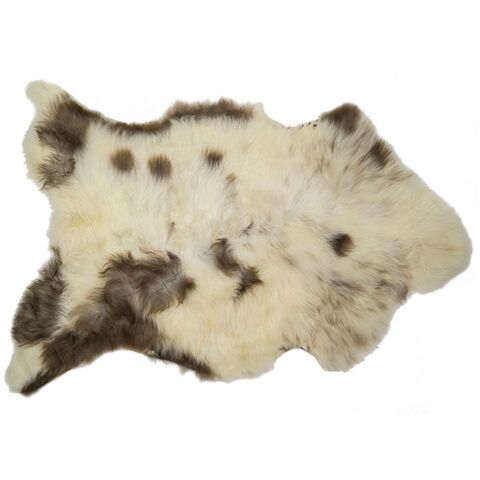 Lammeskind | langhåret