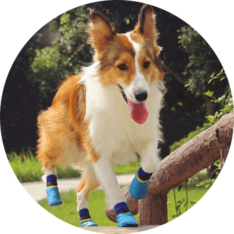 Outdoor waterproof pet socks - vandtaette hundesokker hundestrømper