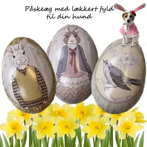 Påskeæg til din hund