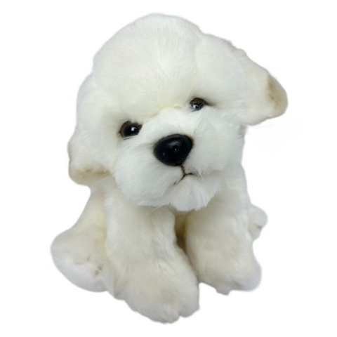 Coton de Tulear /Bichon Frise bamse/Ollie