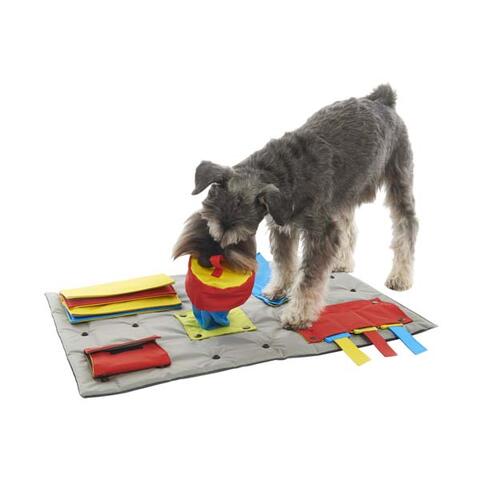 Buster Activity Mat med Hund | Hundelegetøj