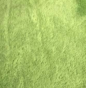 Wellness memoryfoam hundepude | Lime