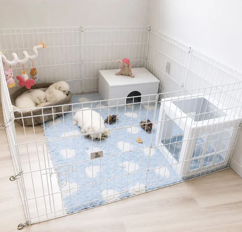 Ollipet hvalpegård | Bestseller