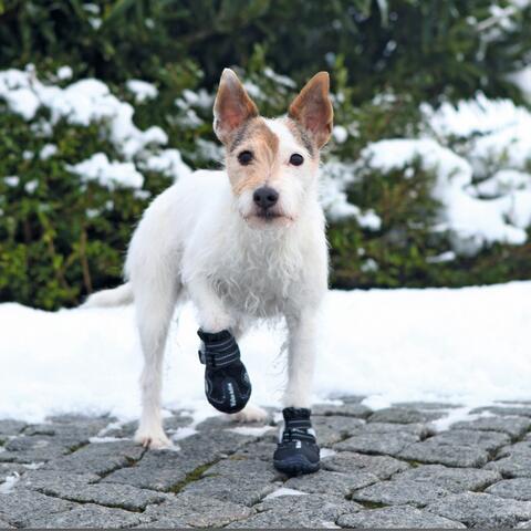 Walker Active Protective boots | hundestøvler