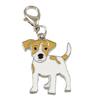 Charms m. hunderacer - Jack Russell Terrier