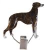 Nummerclips Race: Greyhound Vildtfarvet