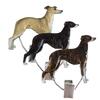 Nummerclips Race: Greyhound