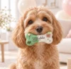 Hundekager | Kager til din hund