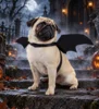 Flagermusevinger til halloween