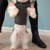 Grå hundesweater med snefnug - Mørke grå model | Medium