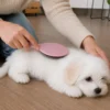 Ollipet Mix brush | også til hvalpe