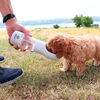 Pet Water Cup | 2i1 I 4 farver