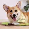 Ollipet Frugt Bandana I Kiwi